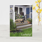 ルートビッヒLeonbergerの子犬の挨拶状 カード (黄色い花)