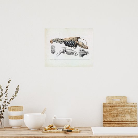 ルートヴィッヒのベッカーのマレーとげのあるザリガニ ポスター (キッチン)