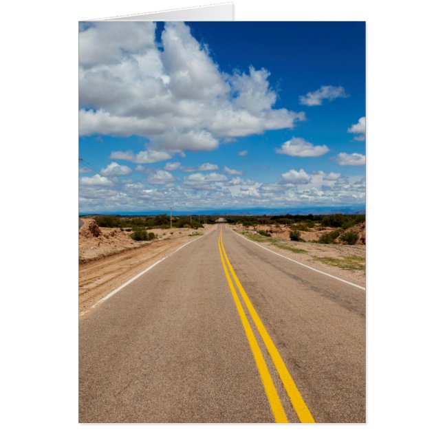 ルート40アルゼンチン (正面)