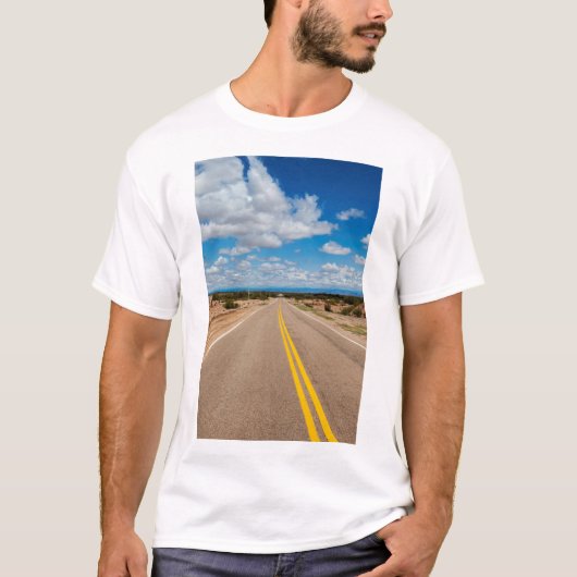 ルート40アルゼンチン Tシャツ (正面)
