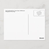 ルート666からの煙突の岩 ポストカード (裏面)