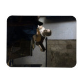 ルート·ヨハネス·ベルメールの女性 マグネット (横)