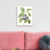 ルードゥートによるヴィンテージ フード フルーツ、パープル ガーデン プラム キャンバスプリント (インサイチュ (リビング))