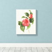 ルードゥートのピンクの椿、ヴィンテージの花のイラスト キャンバスプリント (インサイチュ (ウッドフロア))
