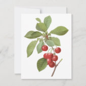 ルードゥートの招待によるヴィンテージ フルーツ、赤いさくらんぼ (正面)