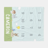 ルーニー・チューン™ |月間マイルストーンベビー フリースブランケット (正面(横))