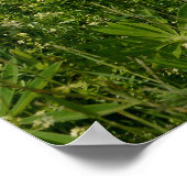 ルーパンでメドウズ –  ポスター (角)