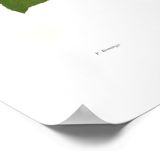 ルーファ ポスター (角)