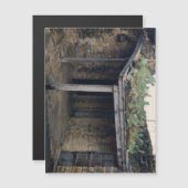 ルーフサボテン磁石 (正面/裏面)