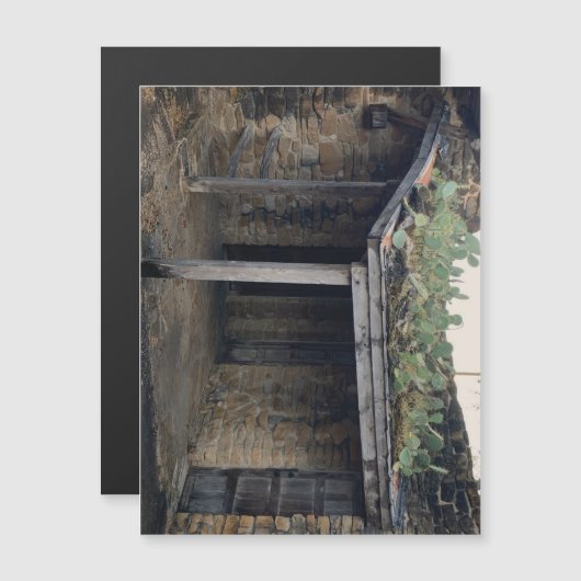 ルーフサボテン磁石 (正面/裏面)