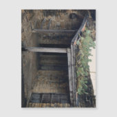 ルーフサボテン磁石 (正面)