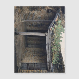 ルーフサボテン磁石