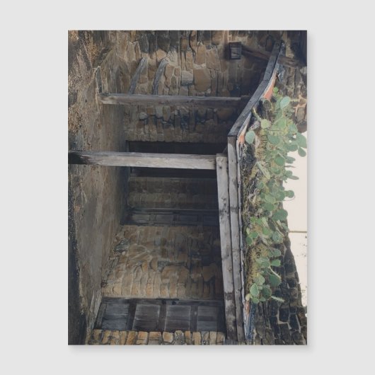 ルーフサボテン磁石 (正面)