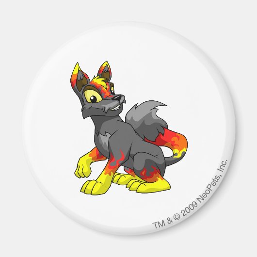 ルーペ火 マグネット (正面)