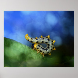 ルーペ・デル・ブライトフェンヴィルケンブラトヴェッペ ポスター