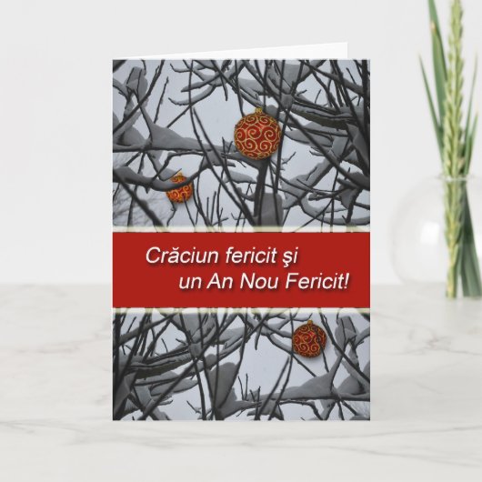 ルーマニアのクリスマス、雪のオーナメント シーズンカード (正面)