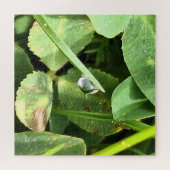 ルーマニアのグリーンリーブス - 植物の葉の壁画 ジグソーパズル (横)