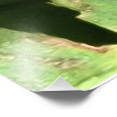 ルーマニアのグリーンリーブス - 植物の葉の壁画 フォトプリント            (角)