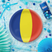 ルーマニアのルーマニア人のRomansk Romanskiの旗 ペーパープレート (パーティー)