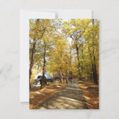 ルーマニアの公園の秋 (正面)