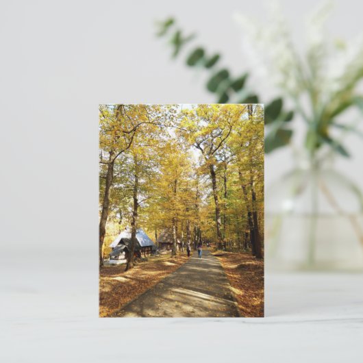 ルーマニアの公園の秋 (スタンド正面)