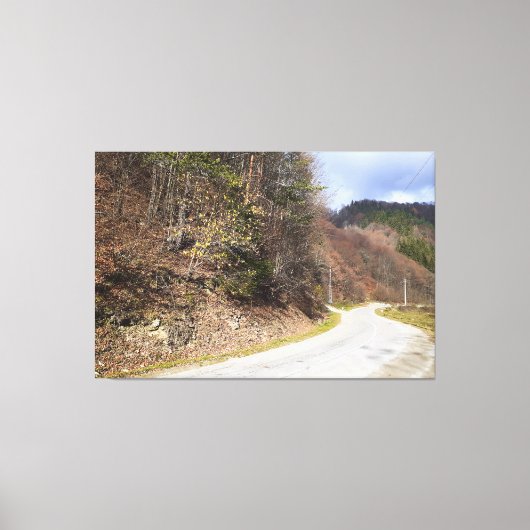 ルーマニアの山の森の道 - 荒野の自然 キャンバスプリント (正面)
