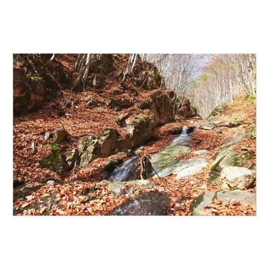ルーマニアの山の滝 - 荒野の自然 フォトプリント            (正面)