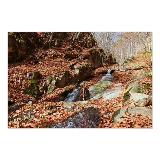 ルーマニアの山の滝 - 荒野の自然 ポスター (正面)