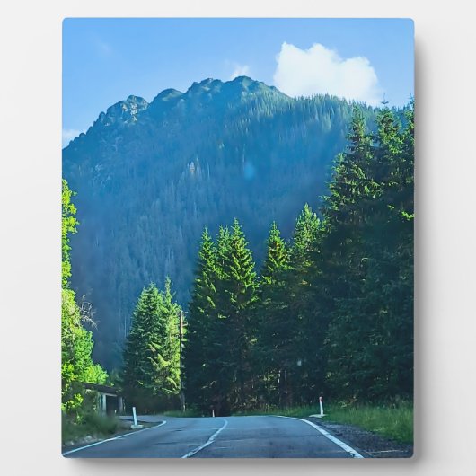 ルーマニアの山岳プリント カルパチアの森の道 フォトプラーク (正面)
