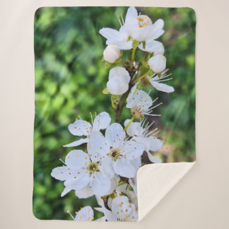ルーマニアの春に咲く花の木 – 桜の写真 シェルパブランケット