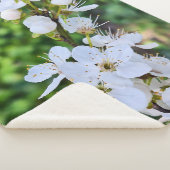 ルーマニアの春に咲く花の木 – 桜の写真 シェルパブランケット (3/4)