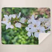 ルーマニアの春に咲く花の木 – 桜の写真 シェルパブランケット (正面(横))