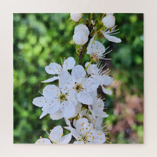 ルーマニアの春に咲く花の木 – 桜の写真 ジグソーパズル