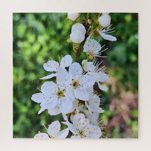 ルーマニアの春に咲く花の木 – 桜の写真 ジグソーパズル (縦)