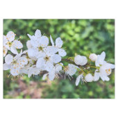 ルーマニアの春に咲く花の木 – 桜の写真 テーブルクロス (正面(横))