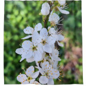 ルーマニアの春の満開の木 – 花の写真 シャワーカーテン (正面)