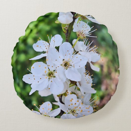 ルーマニアの春の満開の木 – 花の写真 ラウンドクッション (正面)