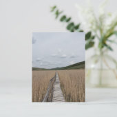 ルーマニアの沼の葦 ポストカード (スタンド正面)