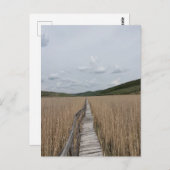 ルーマニアの沼の葦 ポストカード (正面/裏面)