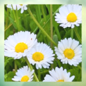 ルーマニアの野生の庭の花 - 自然写真 ウィンドウサイン (シート3)