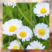 ルーマニアの野生の庭の花 - 自然写真 ウィンドウサイン (シート2)