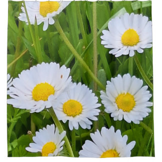 ルーマニアの野生の庭園の花 - 自然写真 シャワーカーテン