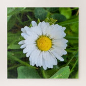 ルーマニアの野生の花 - 植物のマクロフォトグラフィー ジグソーパズル (横)