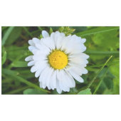 ルーマニアの野花 – 植物のマクロフォトグラフィー テーブルクロス (正面(横))