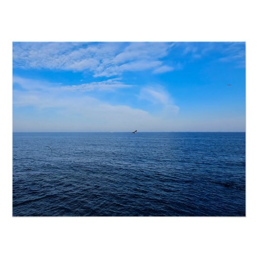 ルーマニアの黒海の静けさ – カモメと青空のプリント ポスター (正面)