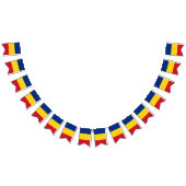 ルーマニア国旗とパーティールーマニアのバナー/結婚式 バンティングフラッグ (全)