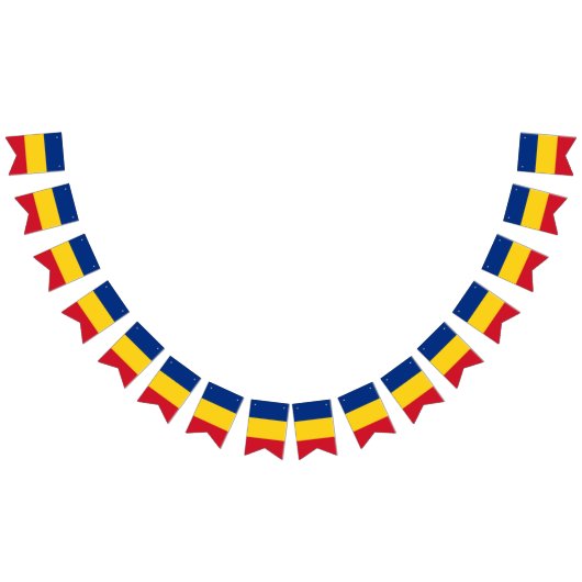 ルーマニア国旗とパーティールーマニアのバナー/結婚式 バンティングフラッグ (全)