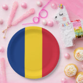 ルーマニア国旗 ペーパープレート (パーティー)