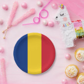 ルーマニア国旗 ペーパープレート (パーティー)