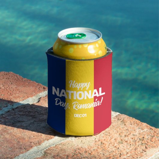 ルーマニア独立記念日ルーマニア国旗 缶クーラー (インサイチュ プール)